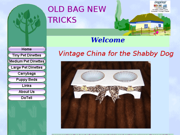 www.oldbagnewtricks.com