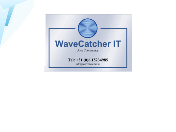 www.wavecatcher-it.com