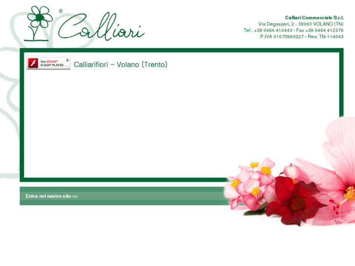 www.calliarifiori.it