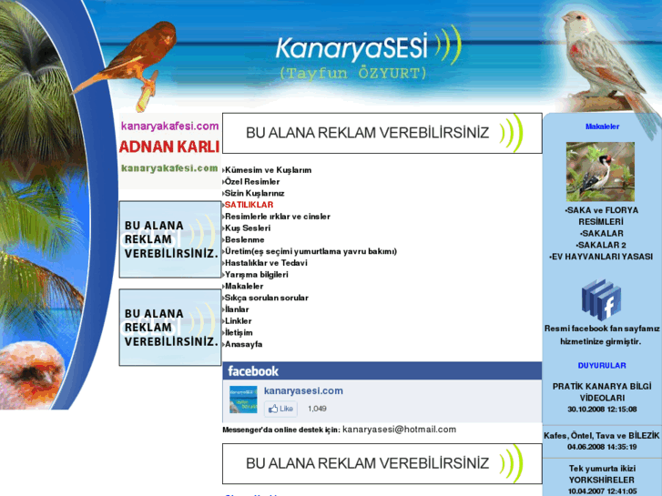 www.kanaryasesi.com