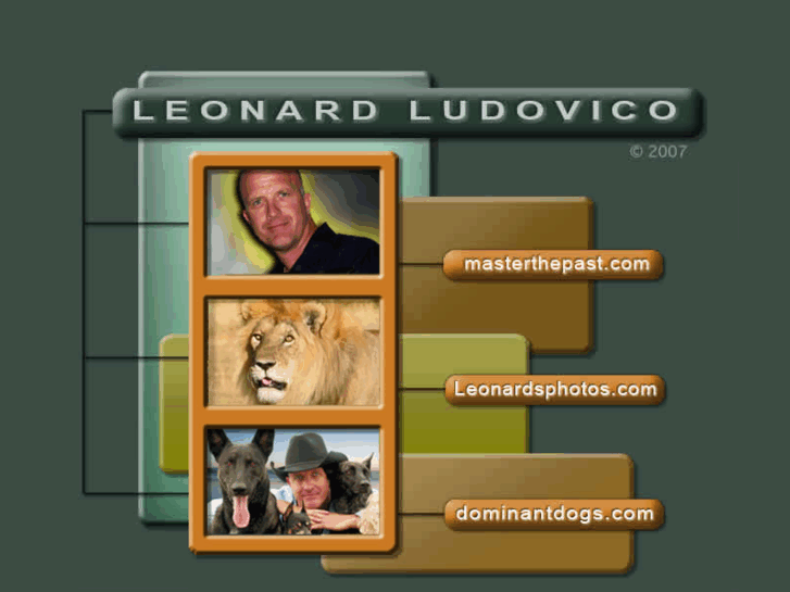 www.leonardludovico.com