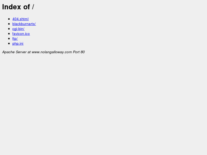 www.nolangalloway.com