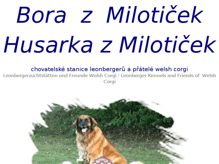 www.borazmiloticek.net