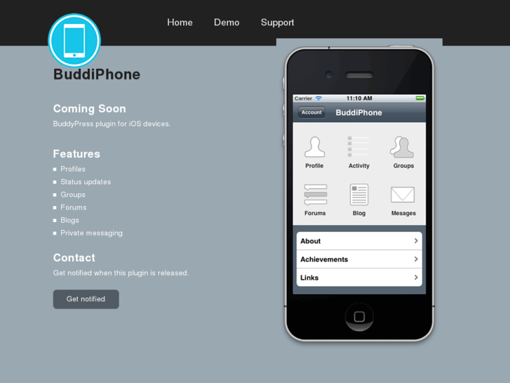 www.buddiphone.com