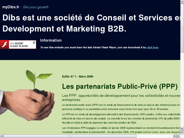 www.dibs-conseil.com