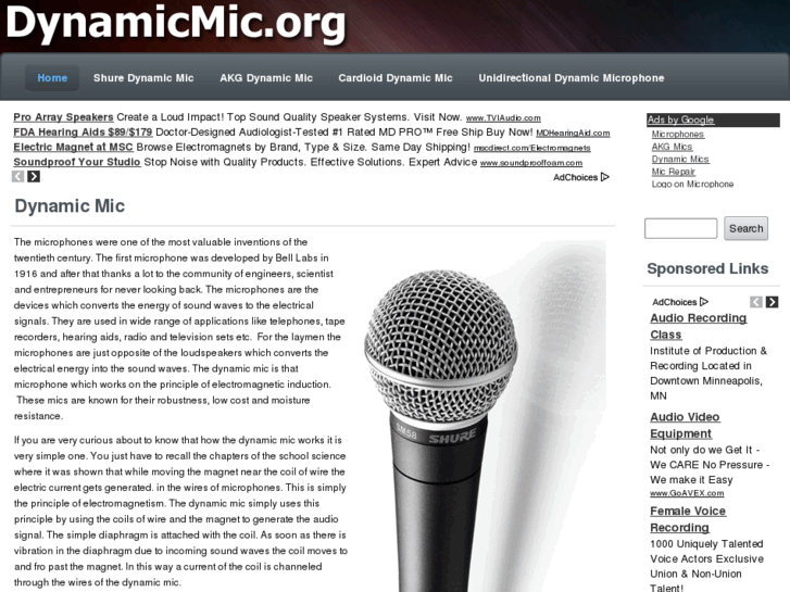 www.dynamicmic.org