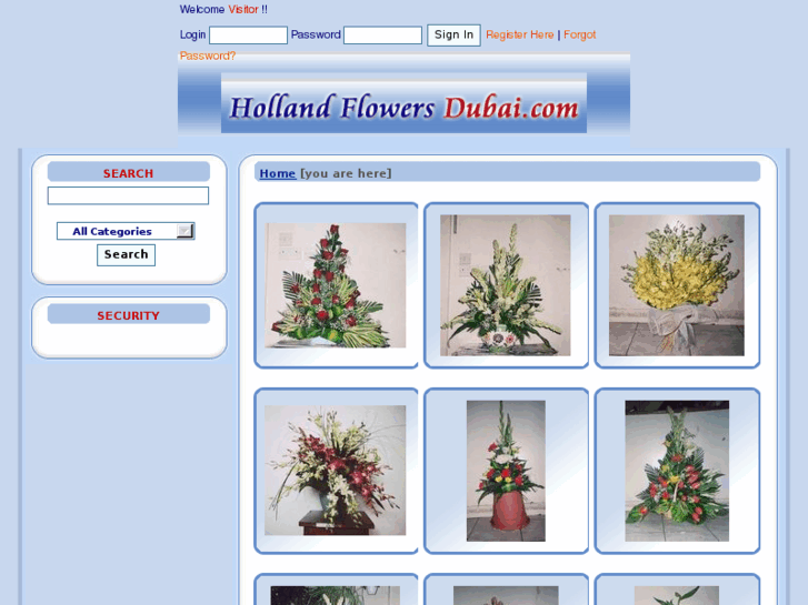 www.hollandflowersdubai.com