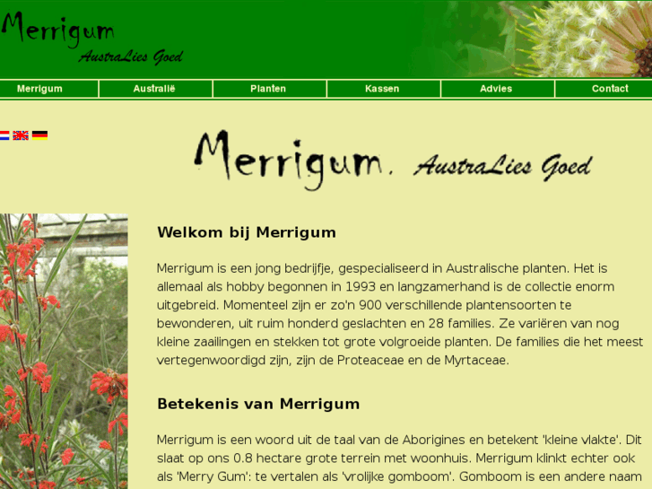 www.merrigum.com