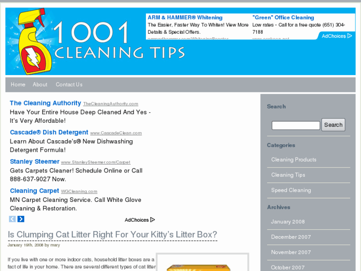 www.1001cleaningtips.com