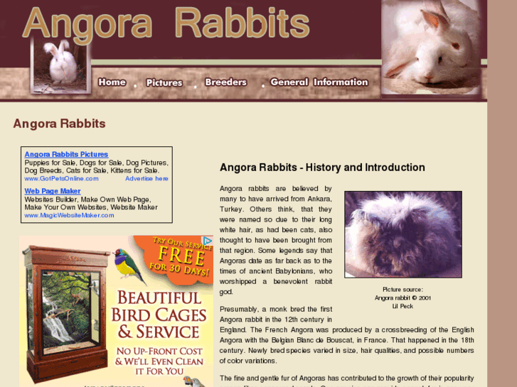 www.angora-rabbits.com