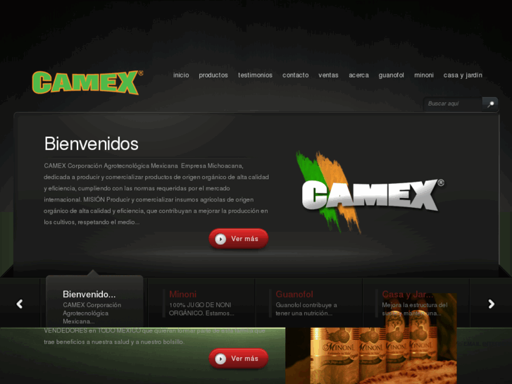 www.camexmexico.com