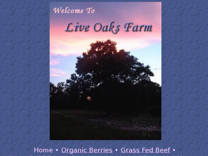 www.live-oaks.com