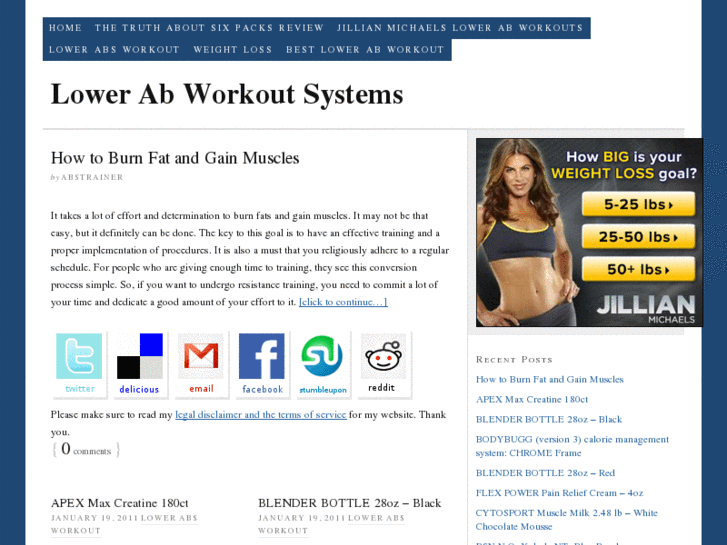 www.lowerabworkoutsystem.com