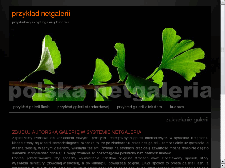 www.netgaleria.net.pl