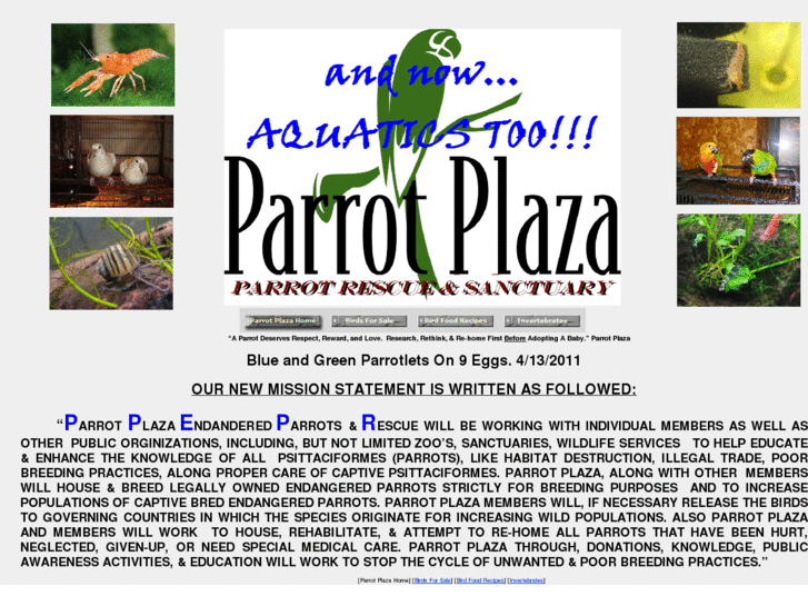 www.parrotplaza.com