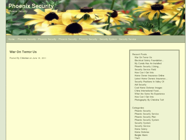 www.phoenix-security.info