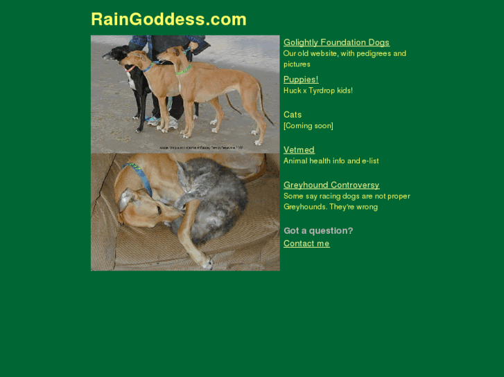 www.raingoddess.com