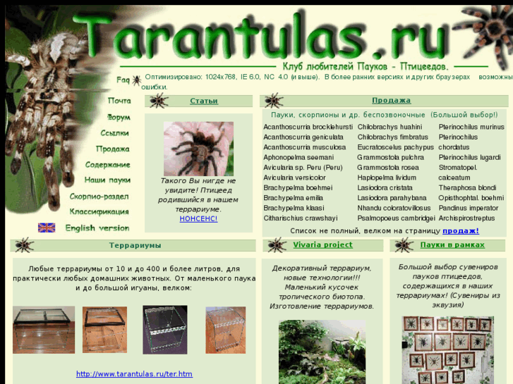 www.tarantulas.ru