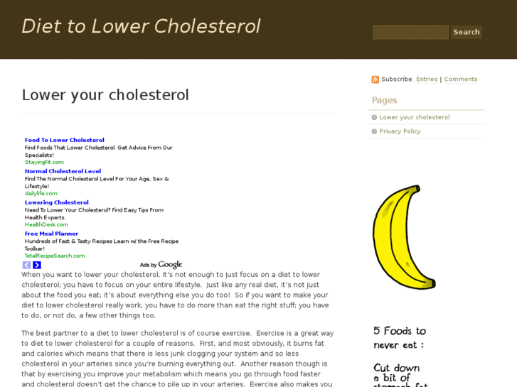 www.diettolowercholesterollevel.com