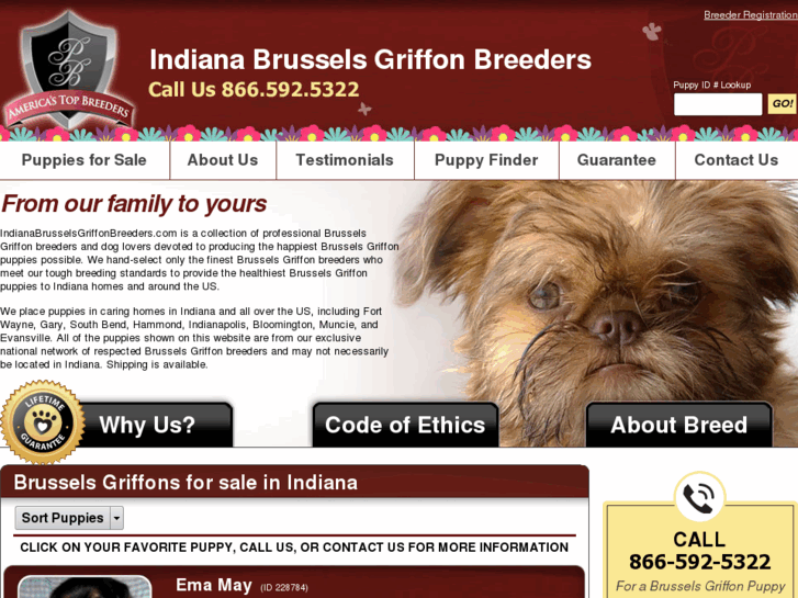 www.indianabrusselsgriffonbreeders.com