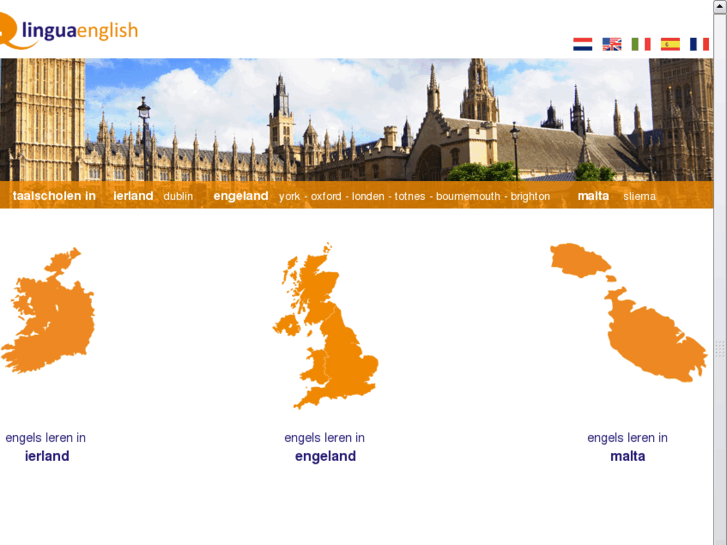 www.lingualearnenglish.nl