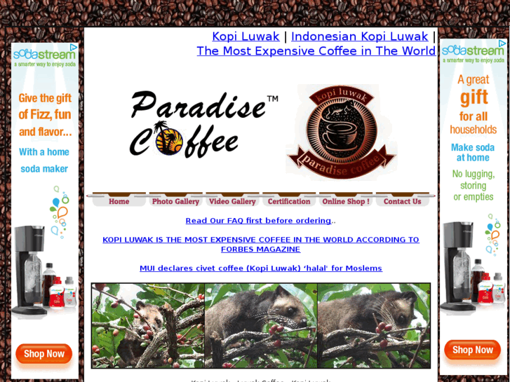 www.buy-kopi-luwak.com