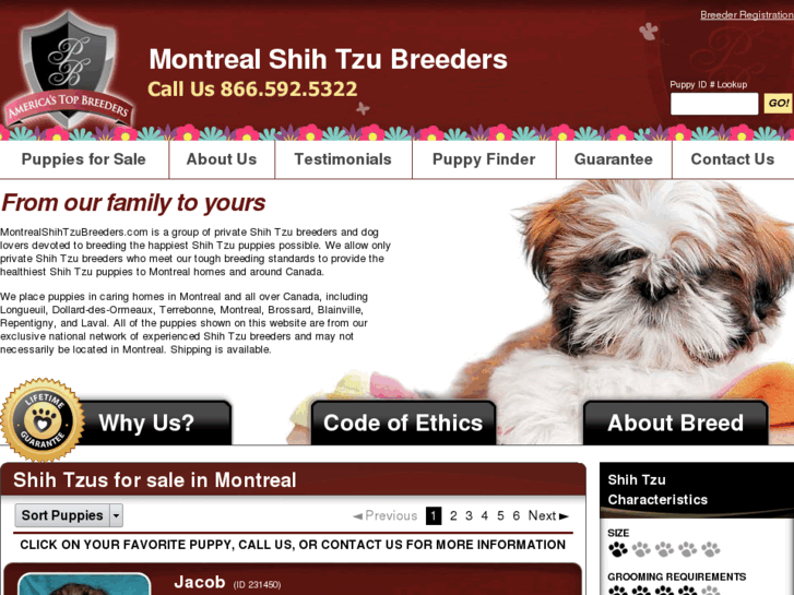 www.montrealshihtzubreeders.com