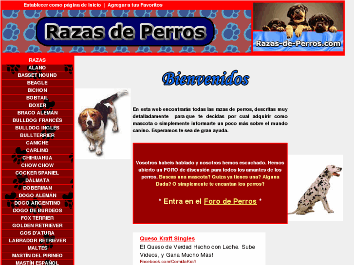 www.razas-de-perros.com