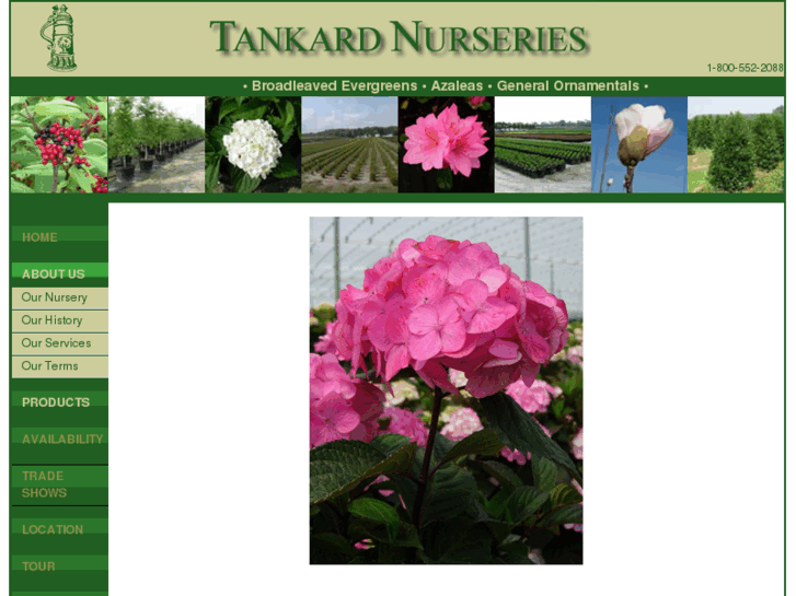 www.tankardnurseries.com