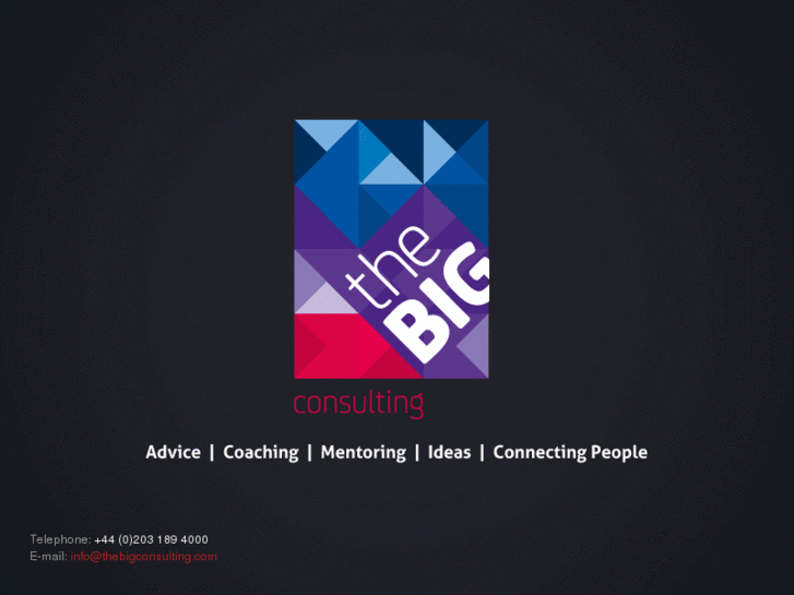 www.thebigconsulting.com
