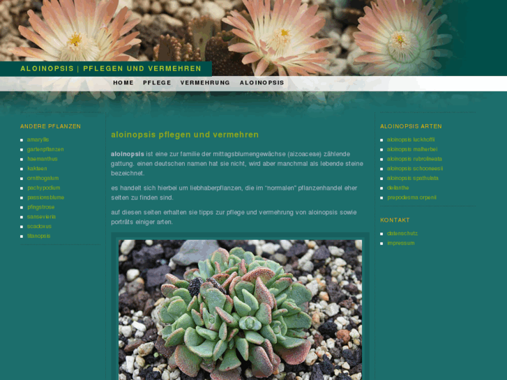 www.aloinopsis.de