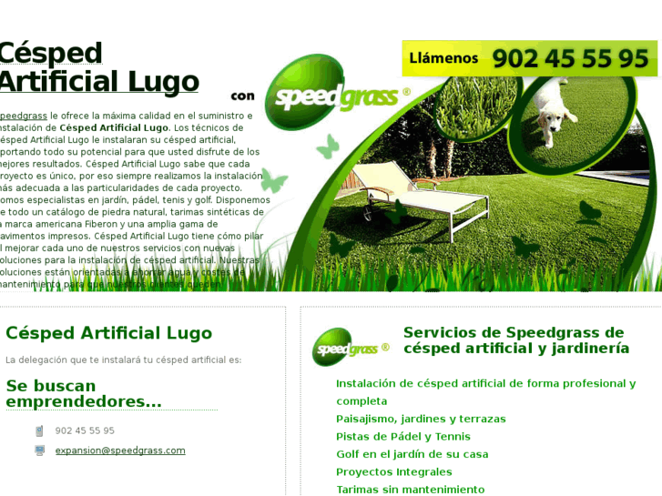 www.cespedartificial-lugo.com