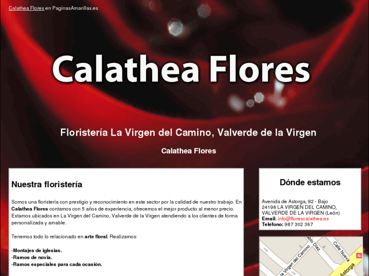 www.florescalathea.es