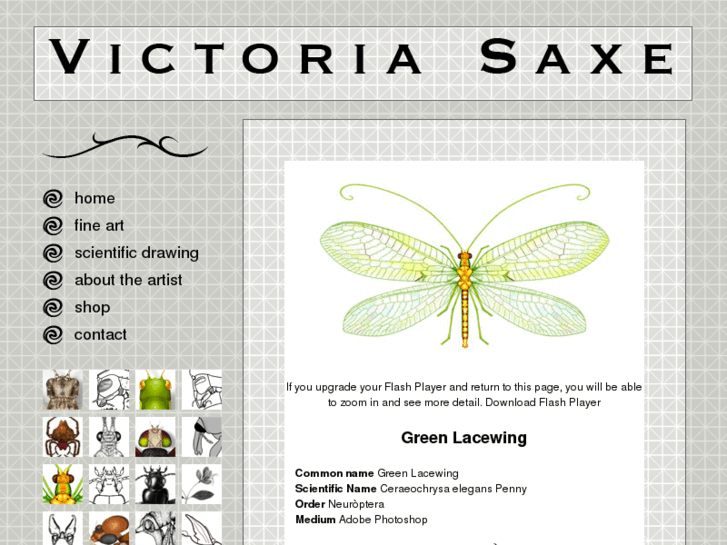 www.victoriasaxe.com