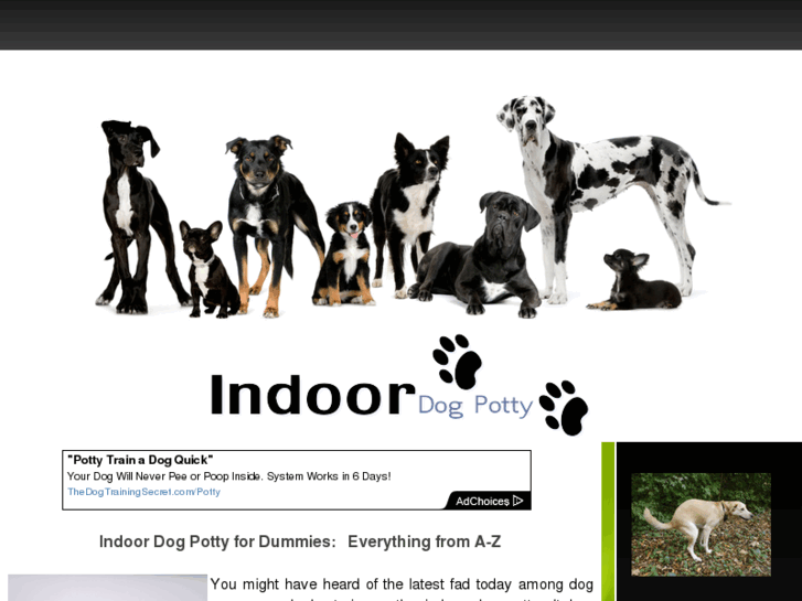 www.indoordogpotty.com