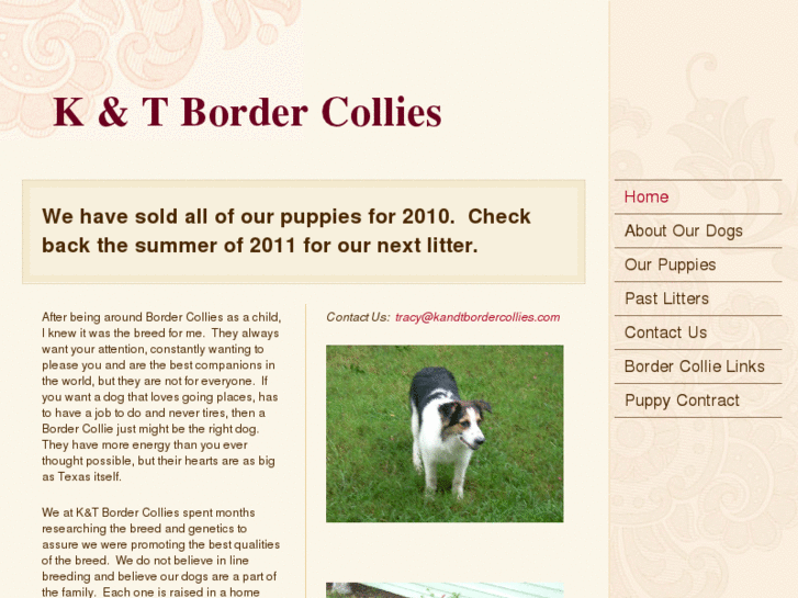 www.kandtbordercollies.com