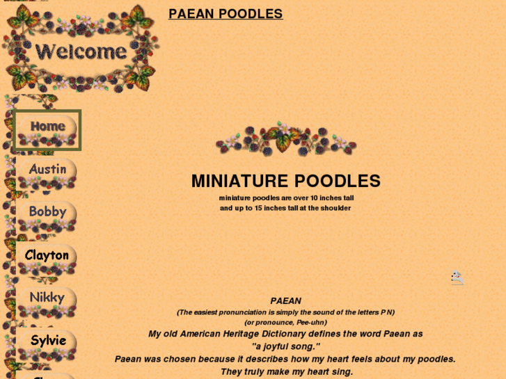 www.paeanpoodles.com