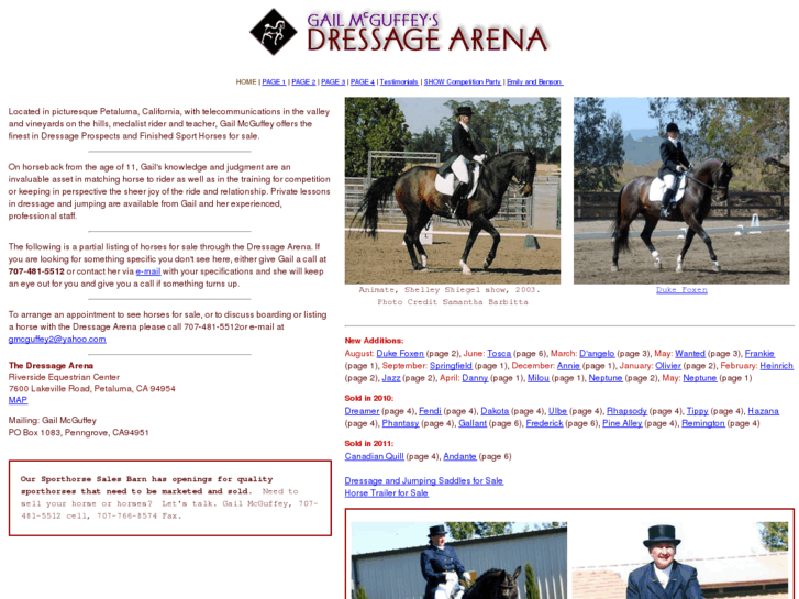 www.thedressagearena.com