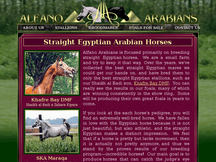 www.alfanoarabians.com