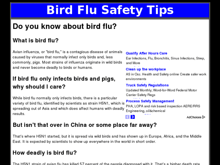 www.birdflusafetytips.com