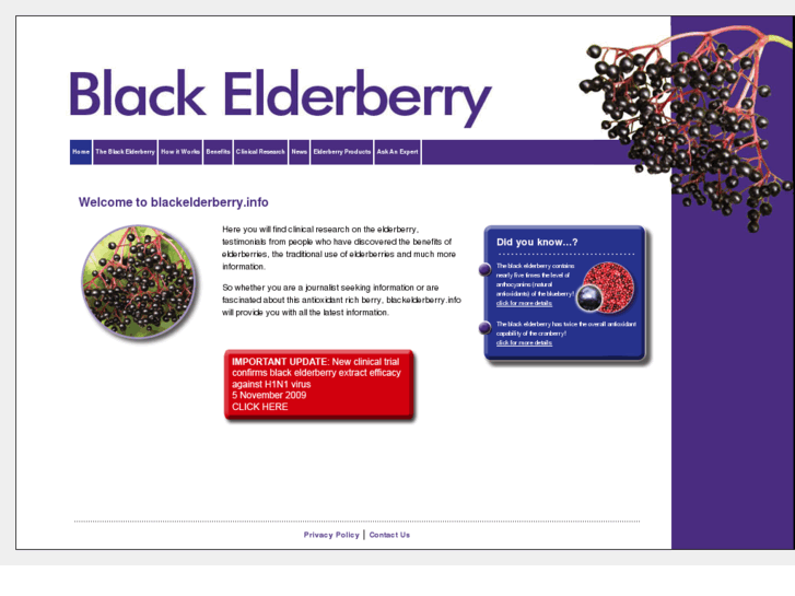 www.blackelderberry.info