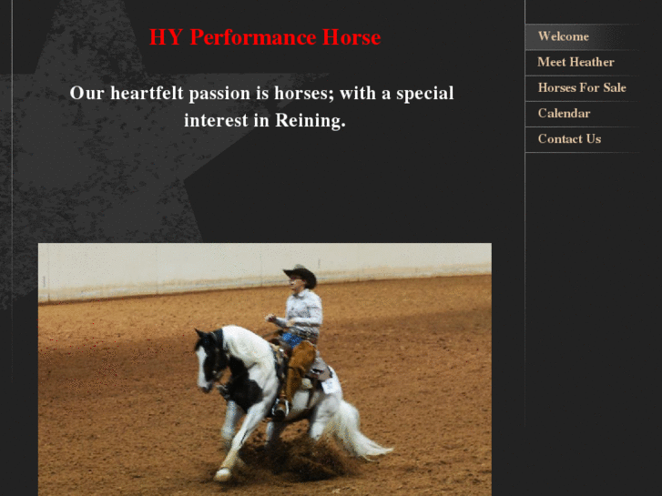 www.hyperformancehorse.com