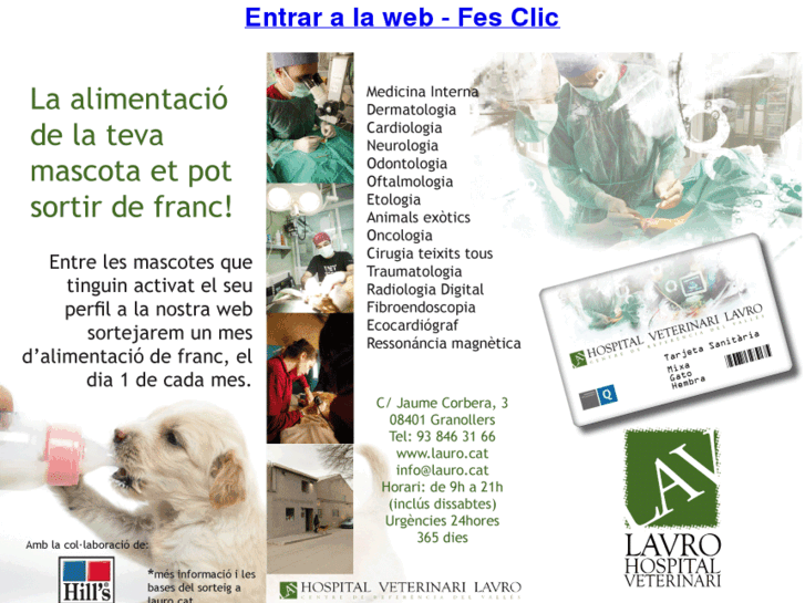 www.laurohospitalveterinari.com