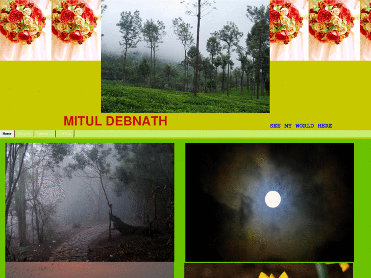 www.mituldebnath.org