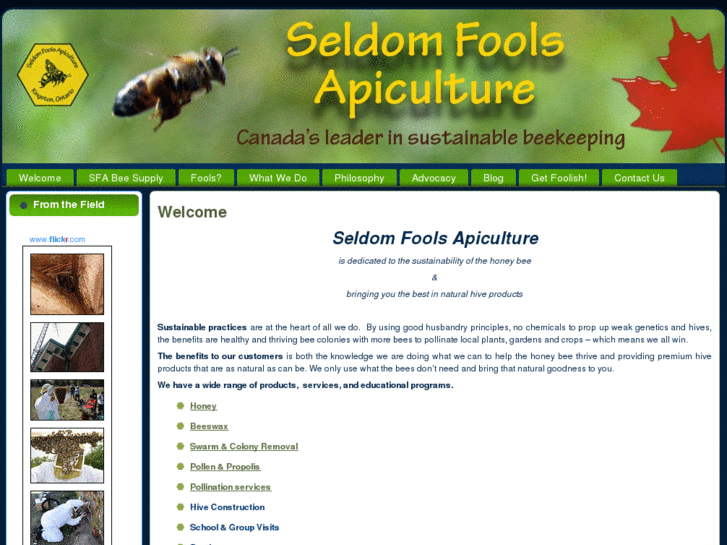 www.sfapiculture.ca