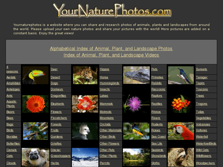 www.yournaturephotos.com