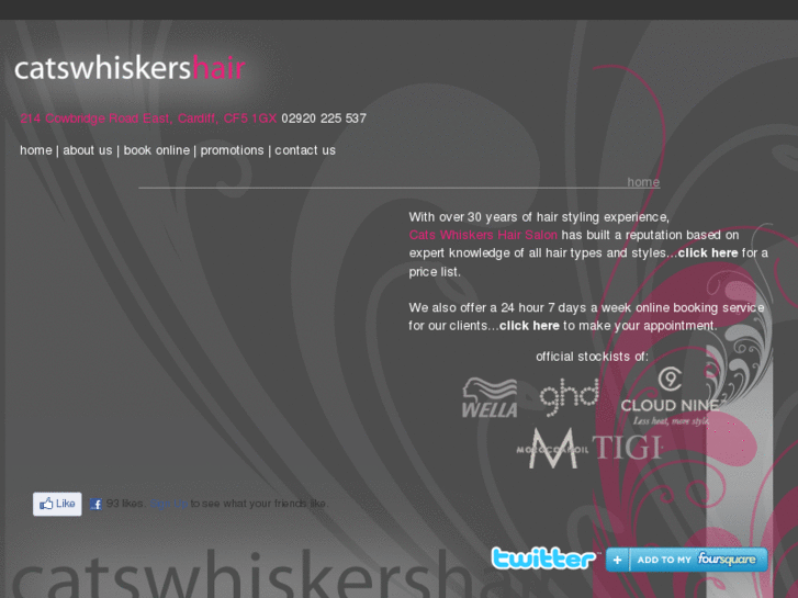 www.catswhiskershair.com