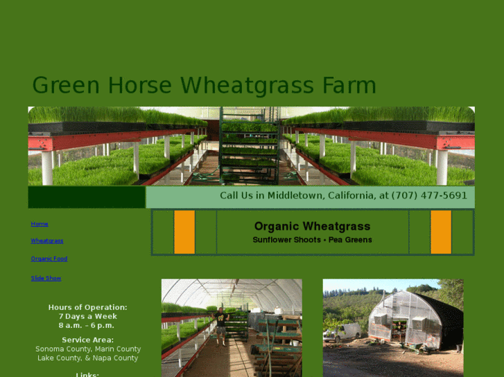 www.greenhorsewheatgrass.com