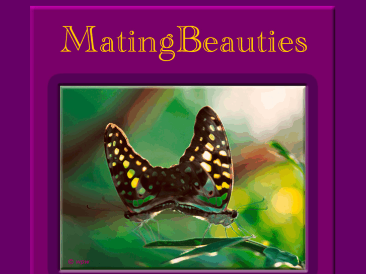 www.matingbeauties.com