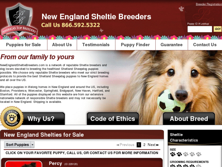 www.newenglandsheltiebreeders.com